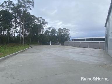 Industrial/Warehouse For Lease - NSW - South Nowra - 2541 - Immaculate New Warehouse -470sqm  (Image 2)