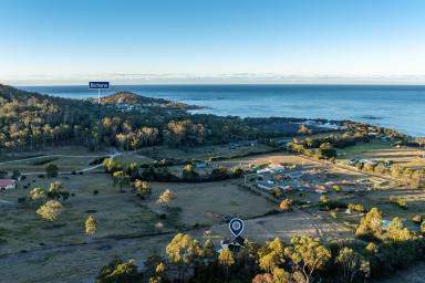 House For Sale - TAS - Bicheno - 7215 - Sunrise, Space & Subdivision Potential  (Image 2)