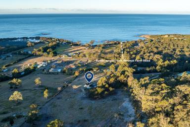 House For Sale - TAS - Bicheno - 7215 - Sunrise, Space & Subdivision Potential  (Image 2)