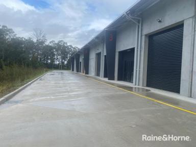 Industrial/Warehouse For Lease - NSW - South Nowra - 2541 - Immaculate New Warehouse -350 sqm  (Image 2)