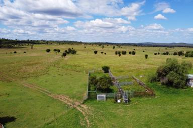 Other (Rural) For Sale - QLD - Dululu - 4702 - Central Queensland Grazing  (Image 2)