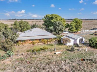 Acreage/Semi-rural For Sale - VIC - Echuca - 3564 - Rare Opportunity: 103 Acres of Prime Land Just Minutes from Echuca  (Image 2)