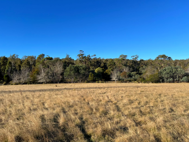House For Sale - TAS - Mount Direction - 7252 - 525 acres of beautiful forest & paddocks. 4-bedroom house. 4 dams. Close to Town.  (Image 2)