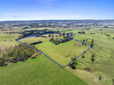 Lifestyle For Sale - VIC - Nerrena - 3953 - Rural living, just minutes from town!  (Image 2)