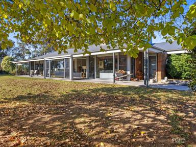 Lifestyle For Sale - VIC - Nerrena - 3953 - Rural living, just minutes from town!  (Image 2)