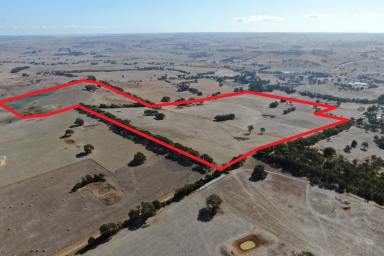 Other (Rural) For Sale - VIC - Coleraine - 3315 - Lifestyle Block with Spectacular Views - 181 Acres Approximately - 18 Lots.  (Image 2)