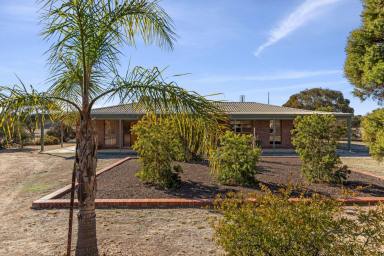 House For Sale - VIC - Axe Creek - 3551 - Rural Lifestyle with Subdivision Potential – Space, Serenity & Convenience  (Image 2)
