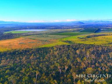 Horticulture For Sale - QLD - Paddys Green - 4880 - 250 Acres of top soil and a clean slate - MAKE PADDY'S GREEN YOURS TODAY  (Image 2)