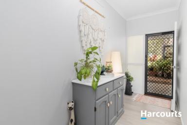 House For Sale - QLD - Apple Tree Creek - 4660 - 3 BED 2 BATH EXECUTIVE BRICK HOME ON 1 ACRE  (Image 2)