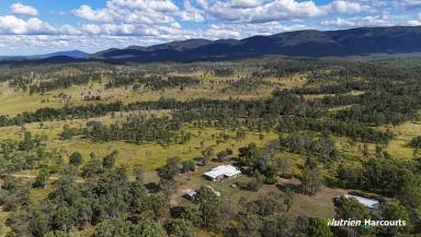 Other (Rural) For Sale - QLD - Colosseum - 4677 - Gaythorne Station Hits The Market!!  (Image 2)