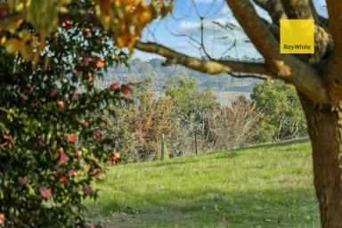 Residential Block For Sale - WA - Bridgetown - 6255 - Panoramic valley views across Kangaroo Gully  (Image 2)