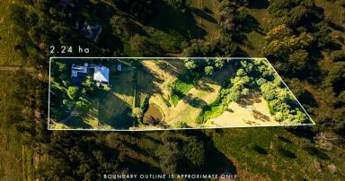 House For Sale - QLD - Imbil - 4570 - Character-Filled Queenslander on 5.5 Acres - A Heartfelt Homestead in the Mary Valley  (Image 2)