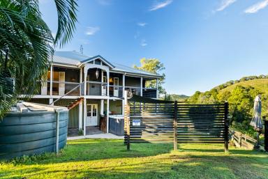 House For Sale - QLD - Imbil - 4570 - Character-Filled Queenslander on 5.5 Acres - A Heartfelt Homestead in the Mary Valley  (Image 2)