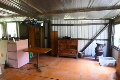 Lifestyle For Sale - NSW - Drake - 2469 - MAGICAL FORREST ESCAPE  (Image 2)