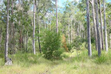 Lifestyle For Sale - NSW - Drake - 2469 - FROG HOLLOW  (Image 2)