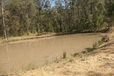 Lifestyle For Sale - NSW - Drake - 2469 - CAPTAIN THUNDERBOLTS HIDE OUT  (Image 2)