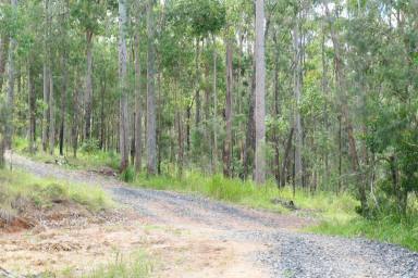 Lifestyle For Sale - NSW - Drake - 2469 - MAGICAL FORREST ESCAPE  (Image 2)