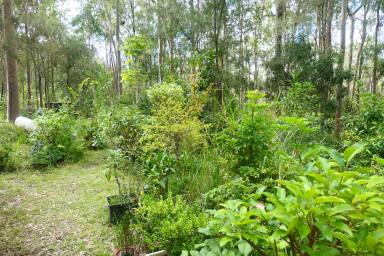 Lifestyle For Sale - NSW - Drake - 2469 - CAPTAIN THUNDERBOLTS HIDE OUT  (Image 2)