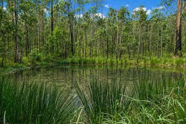 Lifestyle For Sale - NSW - Drake - 2469 - UNDER OFFER (Image 2)