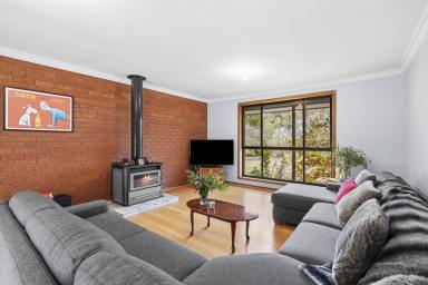 House For Sale - VIC - Gordon - 3345 - DREAM HOBBY FARM ON 12.6 ACRES  (Image 2)