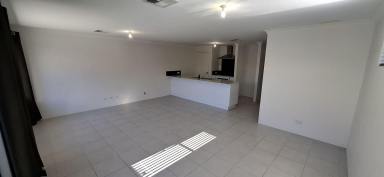 House For Sale - WA - Wellard - 6170 - Modern, Low Maintenance  (Image 2)