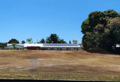 Residential Block For Sale - QLD - Cardwell - 4849 - Enjoy the sea breeze from this large beachside vacant block just minutes from the beach  (Image 2)