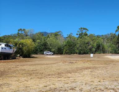 Residential Block For Sale - QLD - Cardwell - 4849 - Enjoy the sea breeze from this large beachside vacant block just minutes from the beach  (Image 2)
