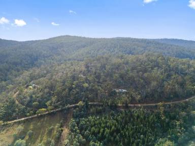 Lifestyle For Sale - TAS - Wattle Hill - 7172 - Your Rural Escape Awaits  (Image 2)