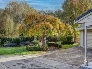 House For Sale - NSW - Moss Vale - 2577 - Large Family Home In A Hidden Garden Oasis  (Image 2)