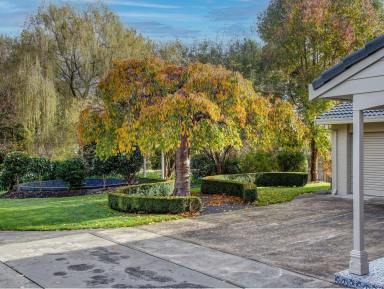 House Sold - NSW - Moss Vale - 2577 - Large Family Home In A Hidden Garden Oasis  (Image 2)