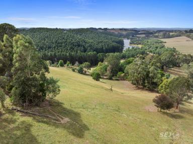 Farmlet For Sale - VIC - Kardella - 3951 - Country hideaway - yet close to town!  (Image 2)