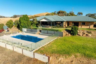 Mixed Farming Auction - NSW - Wagga Wagga - 2650 - Sweeping Panoramic Views Minutes to Wagga Wagga  (Image 2)