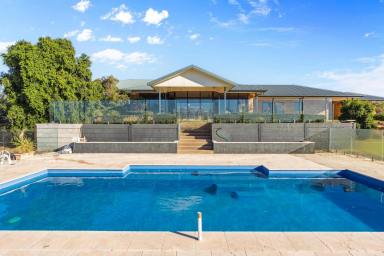 Mixed Farming Auction - NSW - Wagga Wagga - 2650 - Sweeping Panoramic Views Minutes to Wagga Wagga  (Image 2)