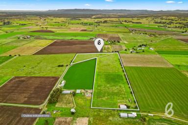 Other (Rural) For Sale - NSW - Singleton - 2330 - Established Irrigation Block  (Image 2)
