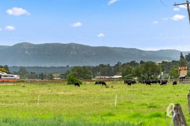 Other (Rural) For Sale - NSW - Singleton - 2330 - Established Irrigation Block  (Image 2)