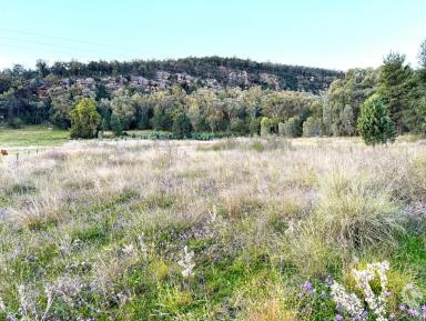 Other (Rural) For Sale - NSW - Bullawa Creek - 2390 - WHY SHARE YOUR VIEW WITH ANYONE ELSE??  (Image 2)