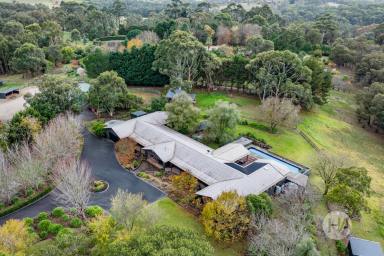 Acreage/Semi-rural For Sale - VIC - Belgrave South - 3160 - Semi-Rural Perfection with Equestrian Excellence  (Image 2)