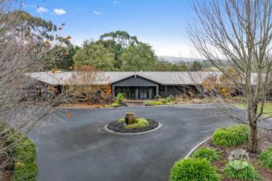 Acreage/Semi-rural For Sale - VIC - Belgrave South - 3160 - Semi-Rural Perfection with Equestrian Excellence  (Image 2)