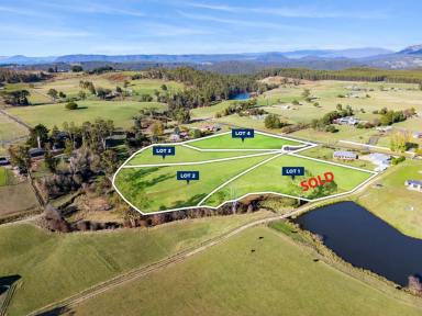 Residential Block For Sale - TAS - Sheffield - 7306 - Magnificent views within town boundary  (Image 2)