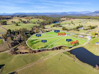 Residential Block For Sale - TAS - Sheffield - 7306 - Magnificent views within town boundary  (Image 2)