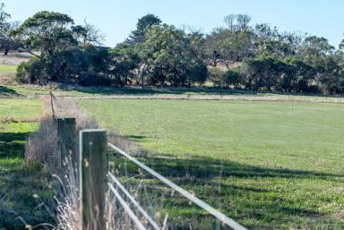 Residential Block For Sale - VIC - Bolwarra - 3305 - Lifestyle building block  (Image 2)
