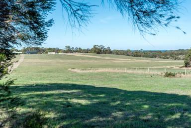 Residential Block For Sale - VIC - Bolwarra - 3305 - Lifestyle building block  (Image 2)