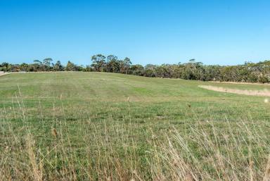 Residential Block For Sale - VIC - Bolwarra - 3305 - Lifestyle building block  (Image 2)