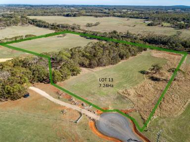 Residential Block For Sale - VIC - Bolwarra - 3305 - Lifestyle building block  (Image 2)