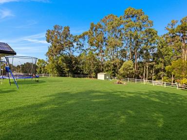 House For Sale - QLD - Tallai - 4213 - Prestigious Tallai Acreage Retreat – Space, Serenity, and Lifestyle Potential  (Image 2)