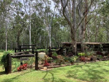 Acreage/Semi-rural For Sale - QLD - Ravenshoe - 4888 - 1.2 kilometres of Water Frontage  (Image 2)
