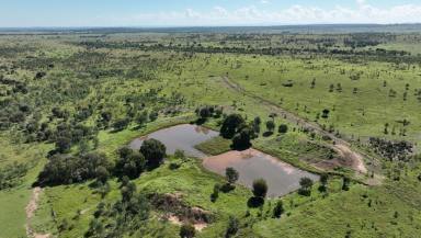 Livestock For Sale - QLD - Kokotungo - 4702 - A Quality Cattle Breeding, Backgrounding & Finishing Opportunity  (Image 2)