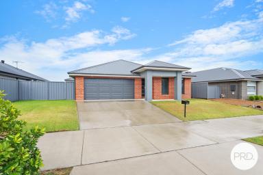 House For Sale - NSW - Thurgoona - 2640 - BROOKLYN FIELDS ESTATE - THREE LIVING AREAS  (Image 2)