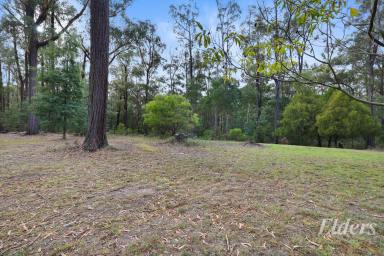 Lifestyle For Sale - VIC - Crossover - 3821 - Lifestyle, Location, and Potential - 41 Acres Across 4 Titles  (Image 2)