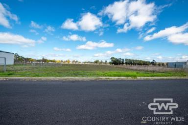 Residential Block For Sale - NSW - Deepwater - 2371 - Industrial Land Opportunity  (Image 2)